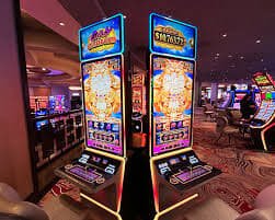 7989bet