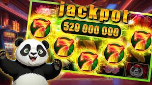 7989bet